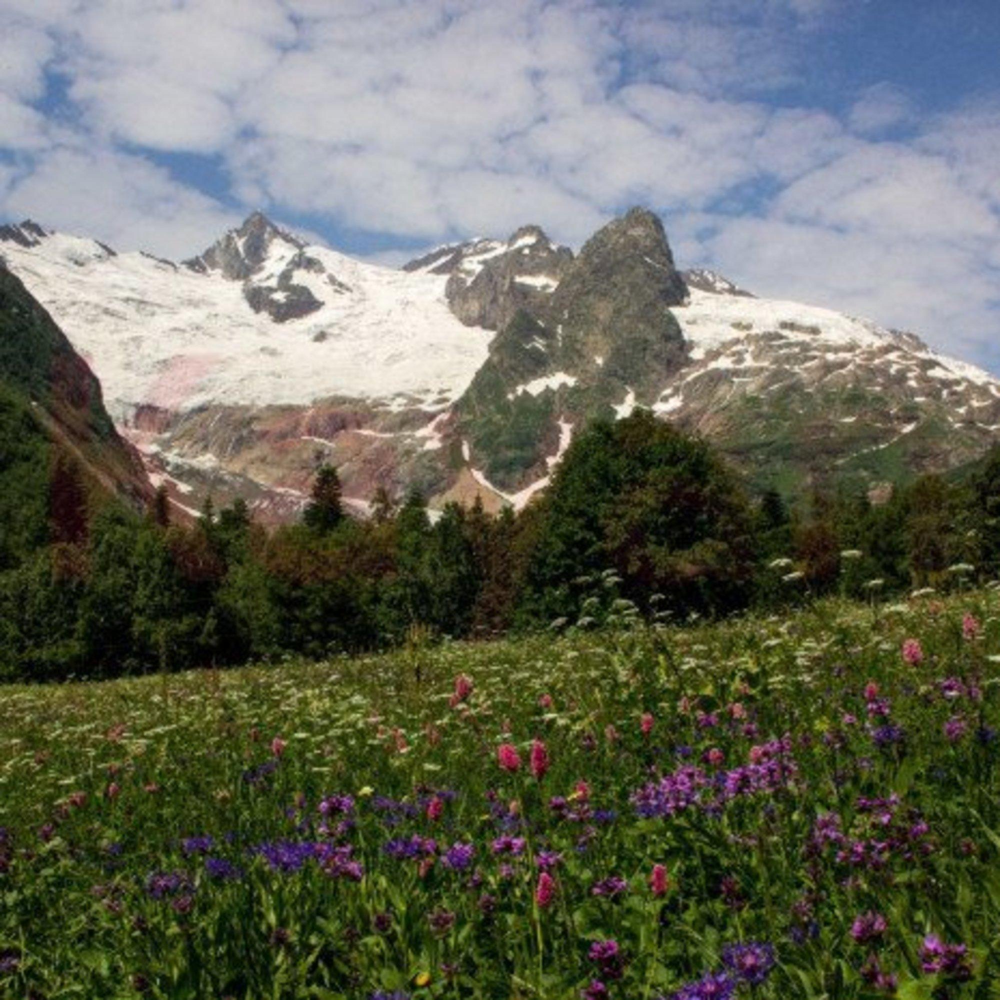 Купить ОСЗ, отдельно стоящее здание за 850 000 000 рублей на Горная ул.