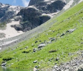 земля 61 сот село Архыз